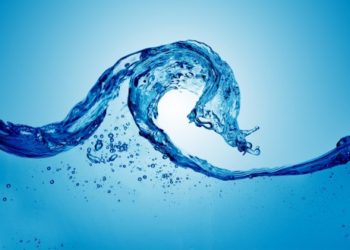 Cosa fa un frate? Cura le ferite!