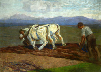 Contadino ara il campo