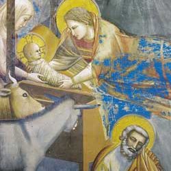 Natività di Gesù