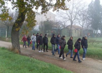 giovani in cammino