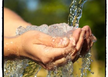 acqua della sorgente