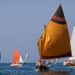 Barche a vela
