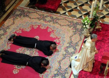 Professioni solenni 2013