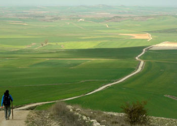 Meseta verde