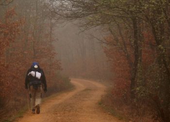 Pellegrino sentiero nel bosco