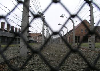 auschwitz ogrodzenie