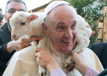 papa francesco e l'agnello