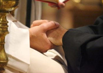 professione dei novizi