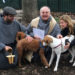 benedizione animali new york