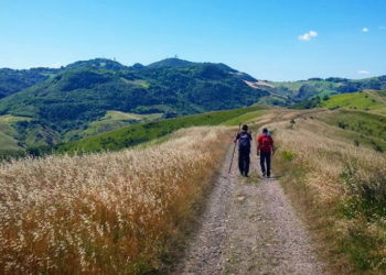cammino s. antonio s martino pedriolo dozza