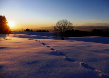 La paura del “per sempre”