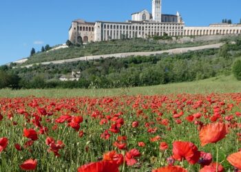 Se pensi di diventare frate, preparati ad “allargare il cuore”