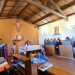 gruppo vocazionale san damiano