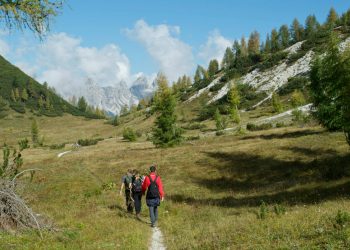 Guardare il mondo con gli occhi di Francesco