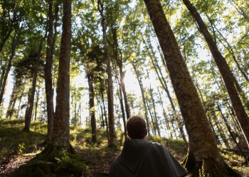 frate montagna bosco preghiera